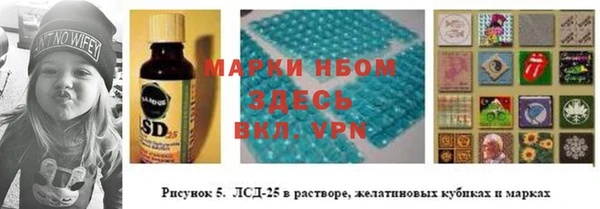 индика Новозыбков