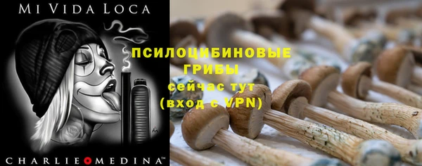 гидра Новодвинск