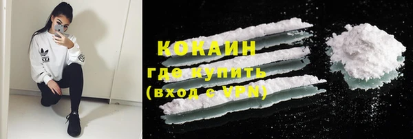 индика Новозыбков