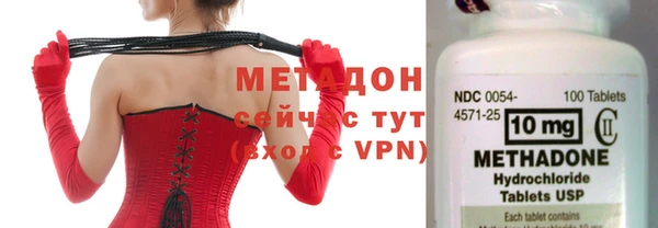 индика Новозыбков