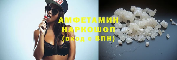индика Новозыбков