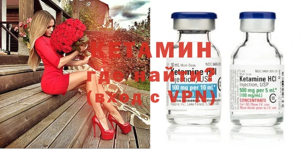 индика Новозыбков