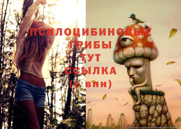 мет Нея