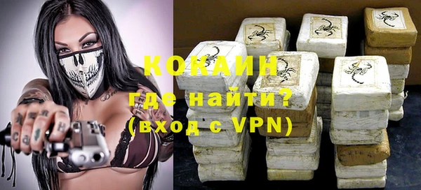 индика Новозыбков