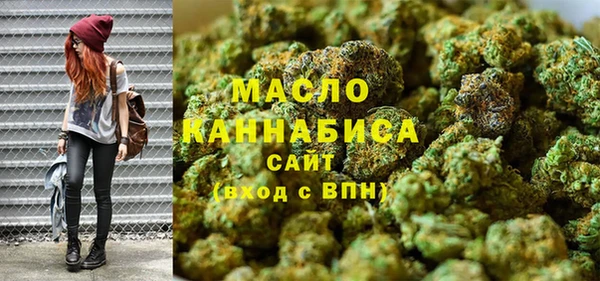 индика Новозыбков