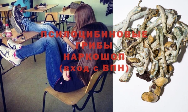гидра Нефтегорск
