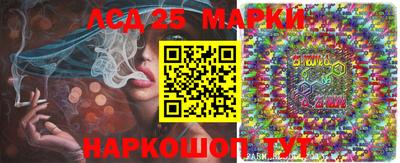 спиды Новозыбков
