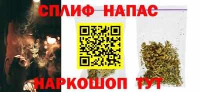 спиды Новозыбков