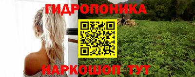 спиды Новозыбков