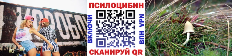 Галлюциногенные грибы прущие грибы  блэк спрут как войти  Сызрань 