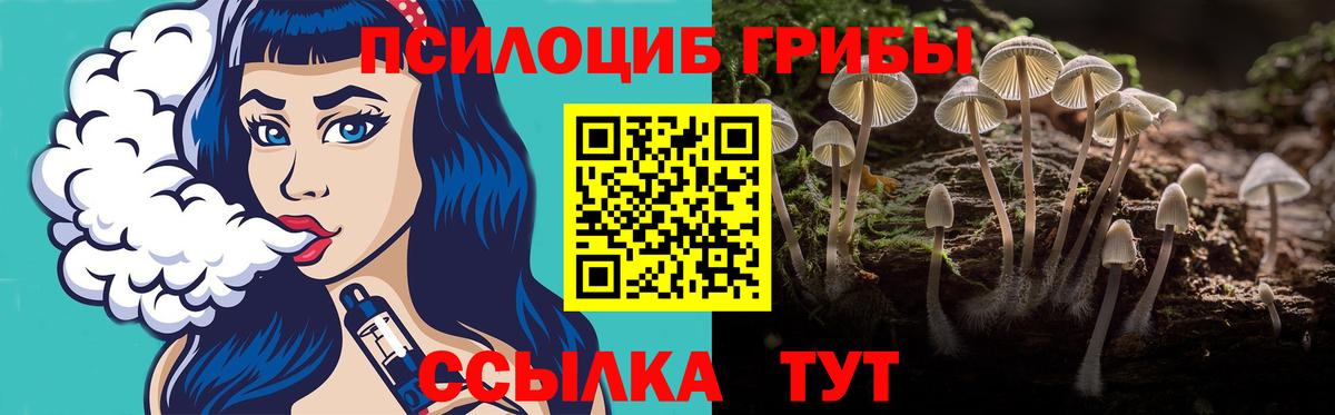 Сызрань  Псилоцибиновые грибы Psilocybe  Вход с VPN 